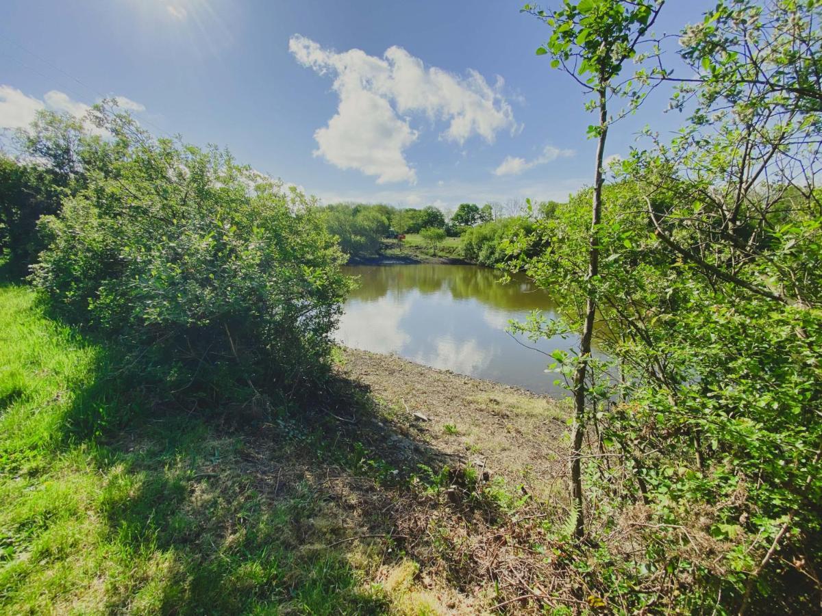 Timber Hill Self Catering Cedar Lodges Broad Haven Luaran gambar