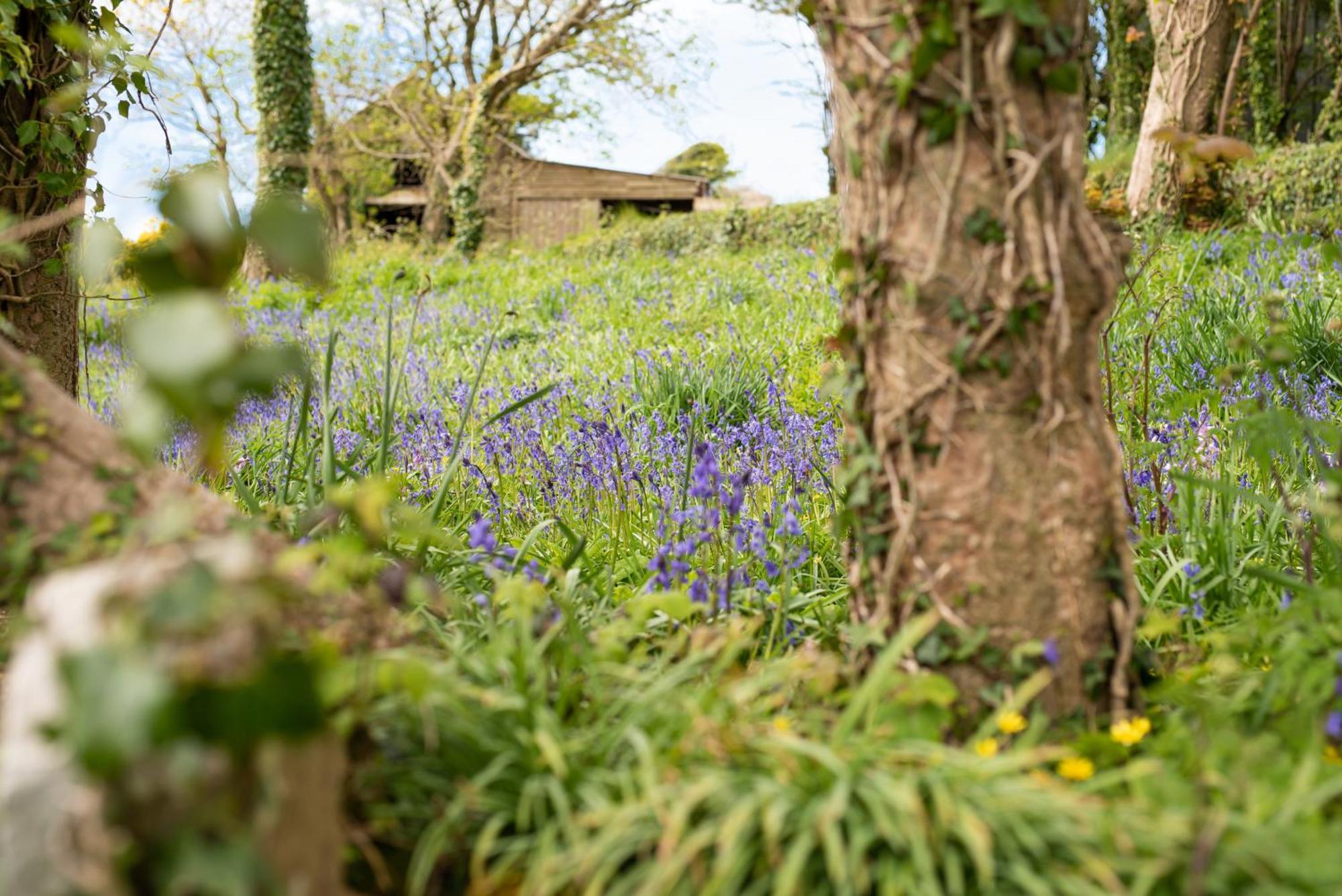 Timber Hill Self Catering Cedar Lodges Broad Haven Luaran gambar