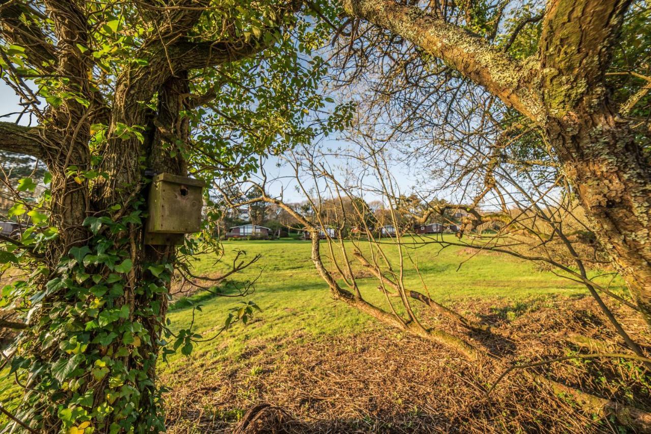 Timber Hill Self Catering Cedar Lodges Broad Haven Luaran gambar